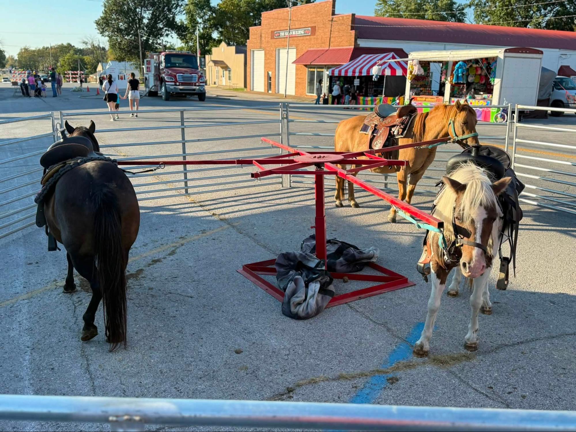 Ponies ready for pony rides during Fall Fun Fest at Lone Jack Acres